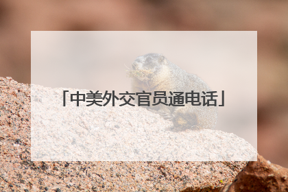 中美外交官员通电话