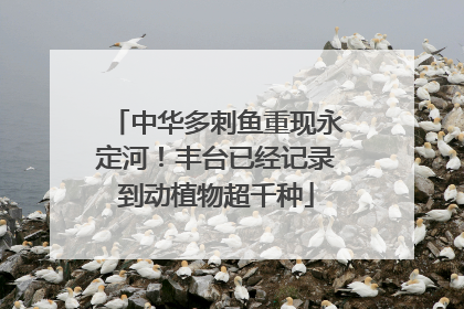 中华多刺鱼重现永定河！丰台已经记录到动植物超千种
