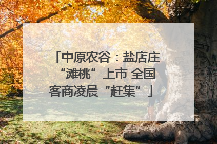 中原农谷：盐店庄“滩桃”上市 全国客商凌晨“赶集”