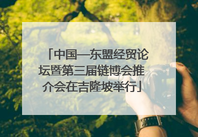 中国—东盟经贸论坛暨第三届链博会推介会在吉隆坡举行