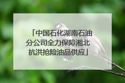 中国石化湖南石油分公司全力保障湘北抗洪抢险油品供应