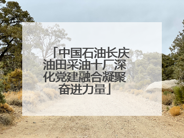 中国石油长庆油田采油十厂深化党建融合凝聚奋进力量