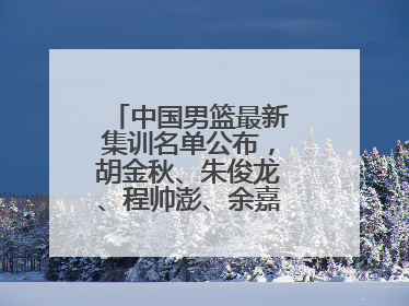 中国男篮最新集训名单公布，胡金秋、朱俊龙、程帅澎、余嘉豪再次入选