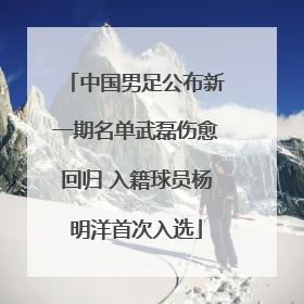 中国男足公布新一期名单武磊伤愈回归 入籍球员杨明洋首次入选