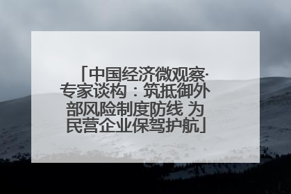 中国经济微观察·专家谈构：筑抵御外部风险制度防线 为民营企业保驾护航