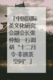 中国国际茶文化研究会副会长张仲灿一行调研“十二月令·非遗茶空间”