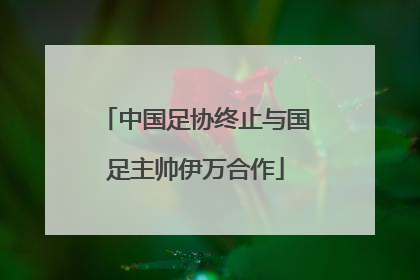 中国足协终止与国足主帅伊万合作