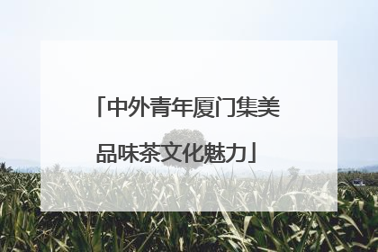 中外青年厦门集美品味茶文化魅力