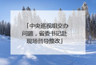 中央巡视组交办问题，省委书记赴现场督导整改