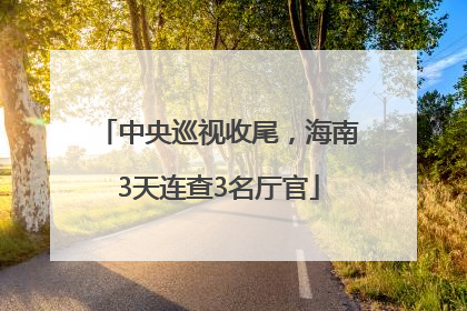 中央巡视收尾，海南3天连查3名厅官