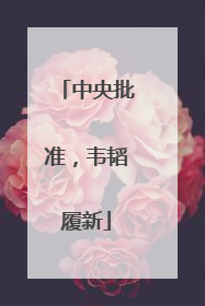 中央批准，韦韬履新