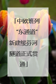 中欧班列“东通道”新建绥芬河隧道正式贯通
