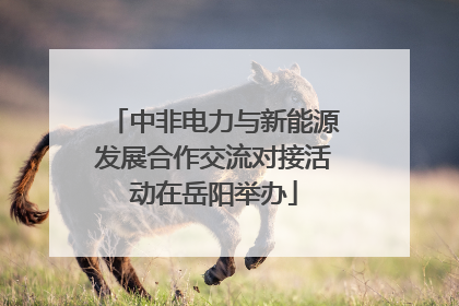 中非电力与新能源发展合作交流对接活动在岳阳举办