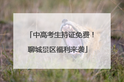 中高考生持证免费！聊城景区福利来袭