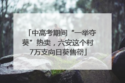 中高考期间“一举夺葵”热卖，六安这个村7万支向日葵售罄