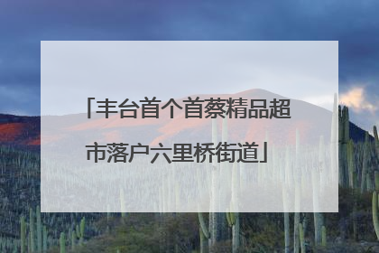 丰台首个首蔡精品超市落户六里桥街道