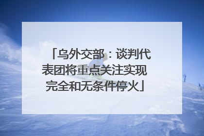 乌外交部：谈判代表团将重点关注实现完全和无条件停火