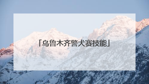 乌鲁木齐警犬赛技能