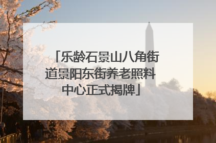 乐龄石景山八角街道景阳东街养老照料中心正式揭牌