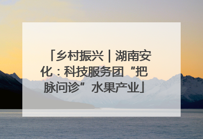 乡村振兴｜湖南安化：科技服务团“把脉问诊”水果产业