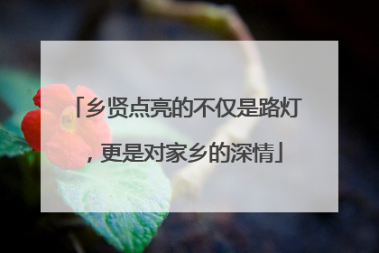 乡贤点亮的不仅是路灯，更是对家乡的深情