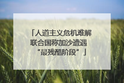 人道主义危机难解 联合国称加沙遭遇“最残酷阶段”
