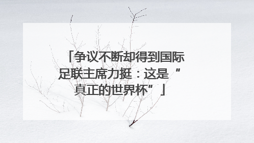 争议不断却得到国际足联主席力挺：这是“真正的世界杯”