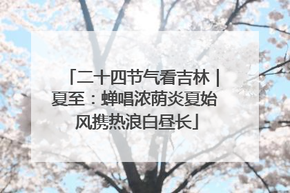 二十四节气看吉林｜夏至：蝉唱浓荫炎夏始 风携热浪白昼长