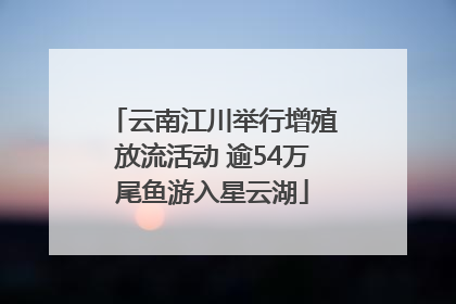 云南江川举行增殖放流活动 逾54万尾鱼游入星云湖