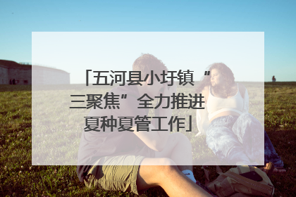 五河县小圩镇“三聚焦”全力推进夏种夏管工作