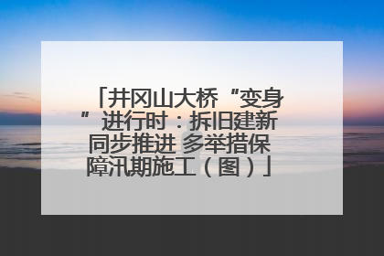井冈山大桥“变身”进行时：拆旧建新同步推进 多举措保障汛期施工（图）