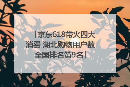 京东618带火四大消费 湖北购物用户数全国排名第9名
