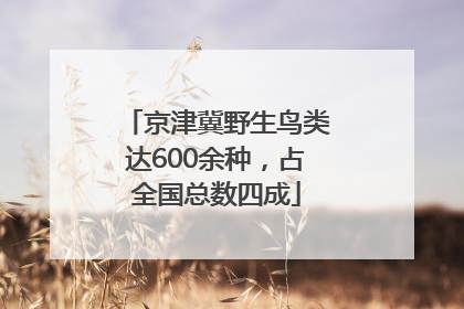京津冀野生鸟类达600余种，占全国总数四成