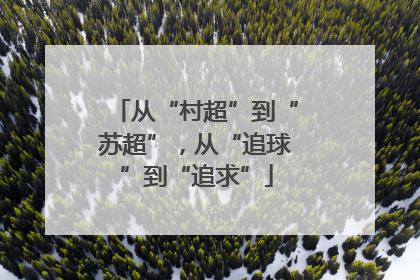 从“村超”到“苏超”，从“追球”到“追求”