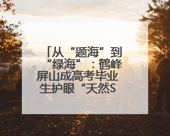 从“题海”到“绿海”：鹤峰屏山成高考毕业生护眼“天然SPA”