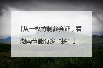从一枚竹制参会证，看湖南节能有多“拼”
