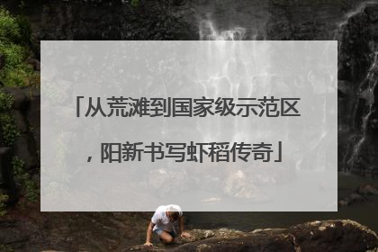 从荒滩到国家级示范区，阳新书写虾稻传奇
