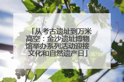 从考古遗址到万米高空：金沙遗址博物馆举办系列活动迎接文化和自然遗产日