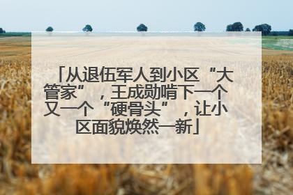 从退伍军人到小区“大管家”，王成勋啃下一个又一个“硬骨头”，让小区面貌焕然一新