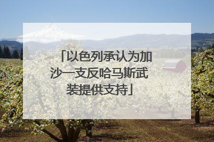 以色列承认为加沙一支反哈马斯武装提供支持