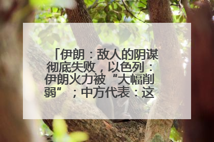 伊朗：敌人的阴谋彻底失败，以色列：伊朗火力被“大幅削弱”；中方代表：这次不能再有欺骗