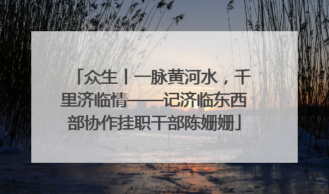 众生丨一脉黄河水，千里济临情——记济临东西部协作挂职干部陈姗姗