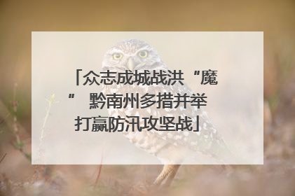 众志成城战洪“魔” 黔南州多措并举打赢防汛攻坚战