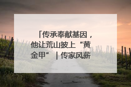 传承奉献基因，他让荒山披上“黄金甲”｜传家风薪火 颂家国情深