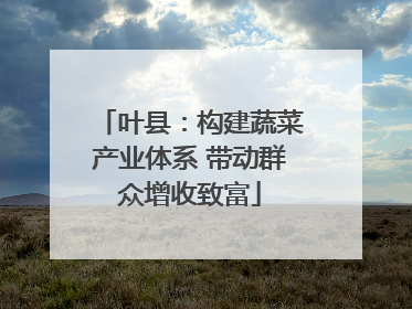 叶县：构建蔬菜产业体系 带动群众增收致富