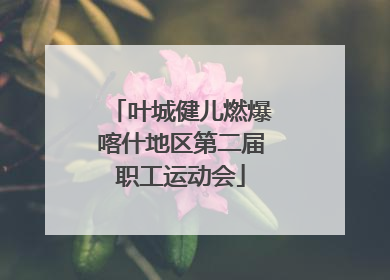 叶城健儿燃爆喀什地区第二届职工运动会