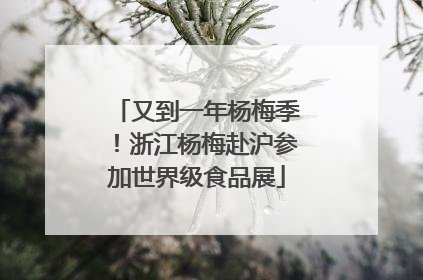 又到一年杨梅季！浙江杨梅赴沪参加世界级食品展