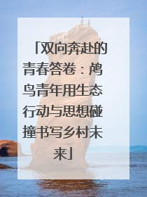 双向奔赴的青春答卷：鸬鸟青年用生态行动与思想碰撞书写乡村未来