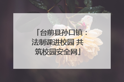 台前县孙口镇：法制课进校园 共筑校园安全网