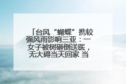 台风“蝴蝶”携较强风雨影响三亚：一女子被树砸倒送医，无大碍当天回家 当地已紧急清障